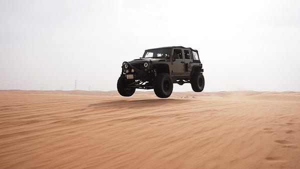 Storm adventure - Safari trip - Top-Rated Attractions - Image 2