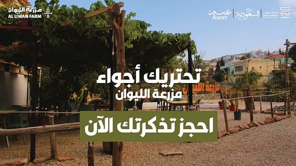 Liwan Farm in Abha - Arabic Events - Image 2