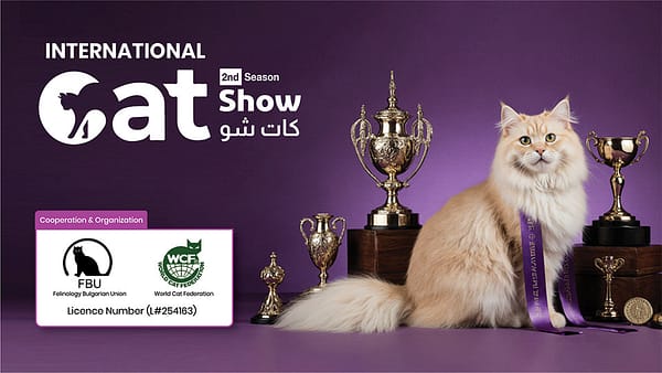 Cat Show in Riyadh - Exhibitions - Image 2