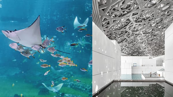 The National Aquarium + Louvre Abu Dhabi - Combo - Combos and more adventures - Image 2