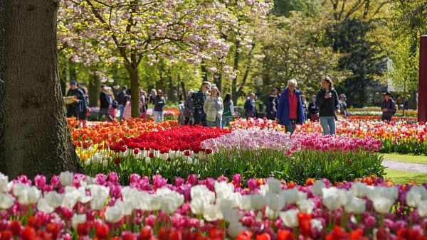 Keukenhof Gardens with transport - Recently Added Experiences - Image 2