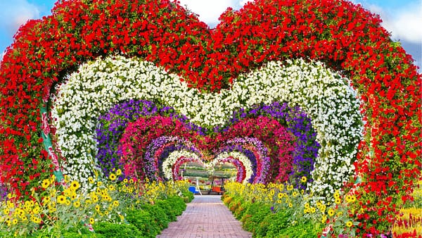 Dubai Miracle Garden - Gardens & parks - Image 2