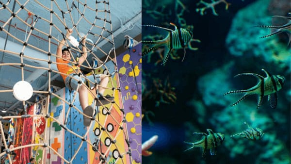Adventure Park + Marassi Aquarium & Underwater Zoo - Combo - Top-Rated Attractions - Image 2