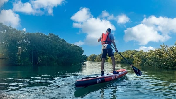 Mangroves paddleboarding at Purple Island - Qool Qatar - Must-see attractions - Image 2