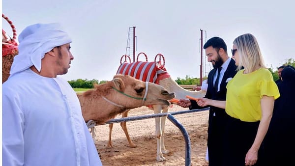 Camelicious Dubai - Must-see attractions - Image 2