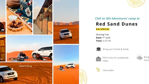 Eid Special: Shared Red Sands Safari + Camp Visit - Experiences - Image 2