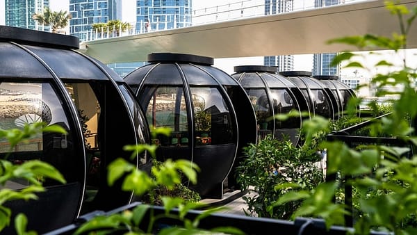The Pods 4-Course Set Menu - Brunches - Image 2