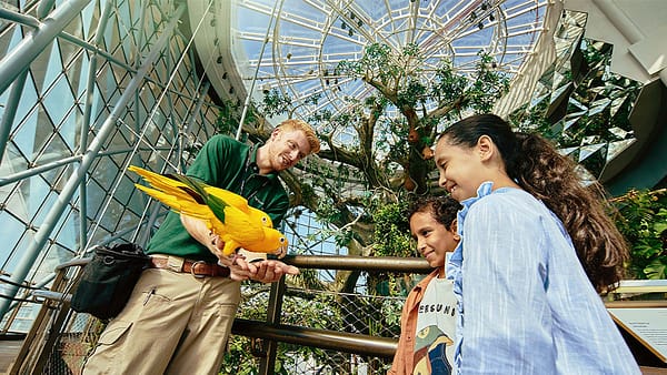 The Green Planet Dubai - Theme Parks - Image 2
