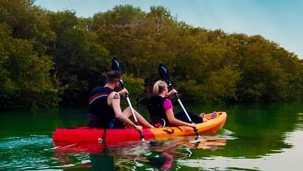 Mangroves Kayaking at Purple Island - Qool Qatar - Must-see attractions - Image 2