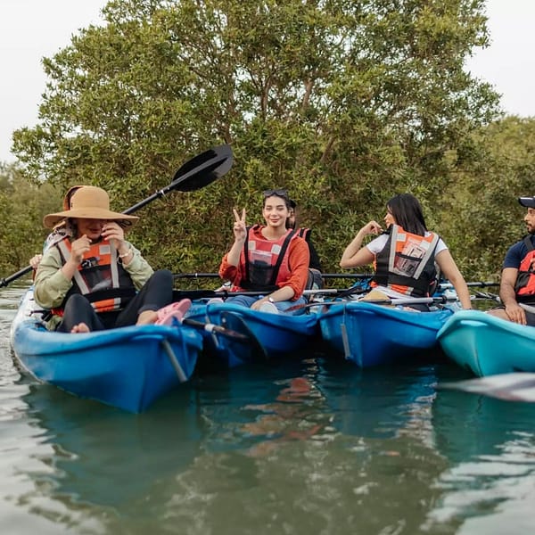 Kayaking in the Mangroves Boat Tours and Cruises