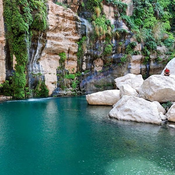 Wadi Tiwi & Dayqah Sightseeing and Tours