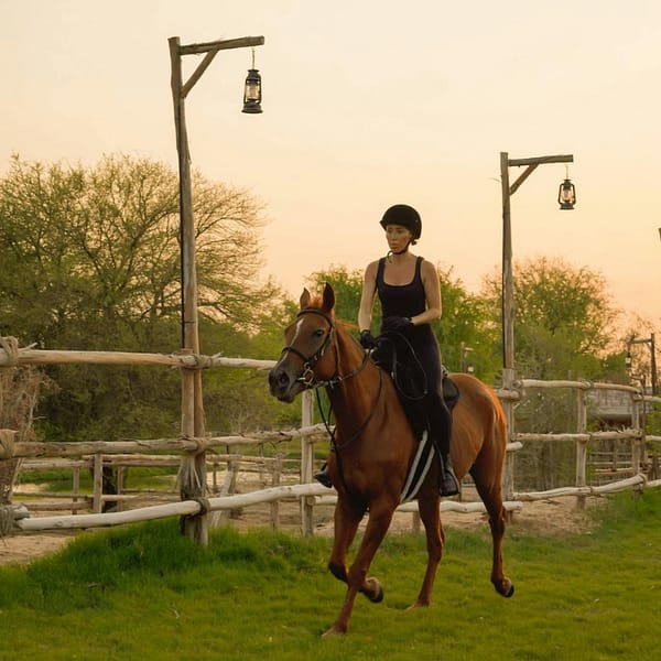 Horse Riding with Open Buffet Dinner & Shows Desert safaris