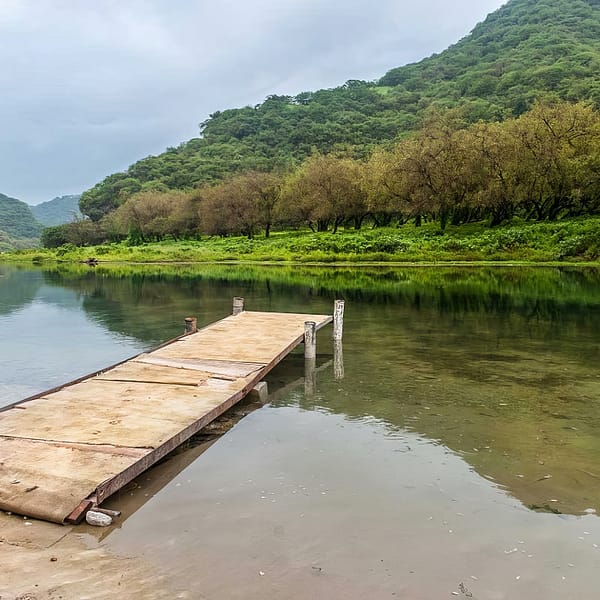 Salalah: Full-Day Beach Escapade Hidden Beach & Rakyut Beach Recently Added Experiences