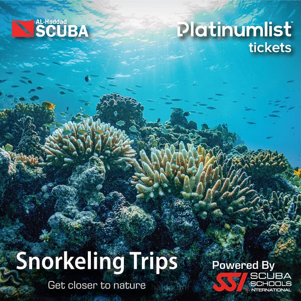 Snorkeling Daily Trips in Jeddah Attractions Special Offers