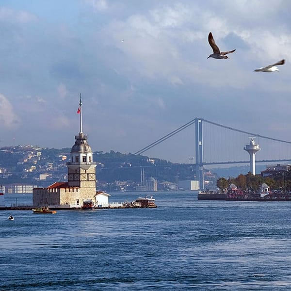 Istanbul: Full Day Cruise on the Bosphorus & Black Sea with Lunch Boat Tours and Cruises