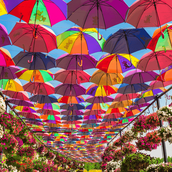 Dubai Miracle Garden Gardens & parks