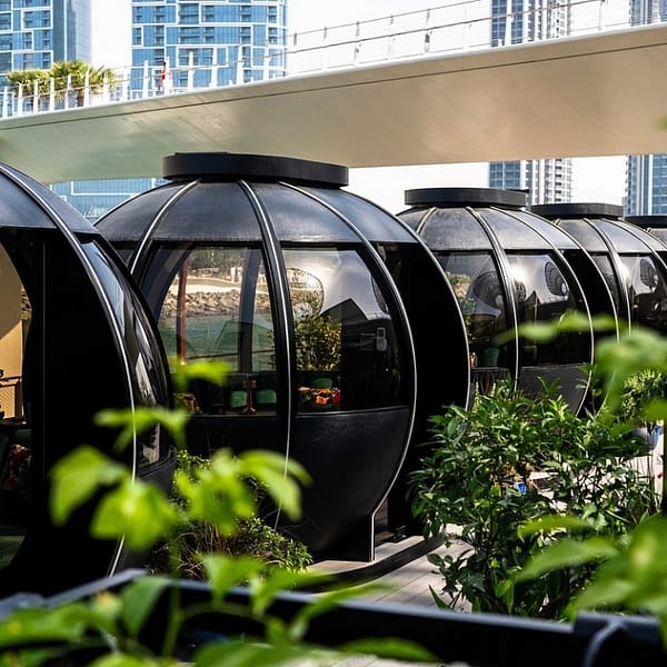The Pods 4-Course Set Menu Brunches