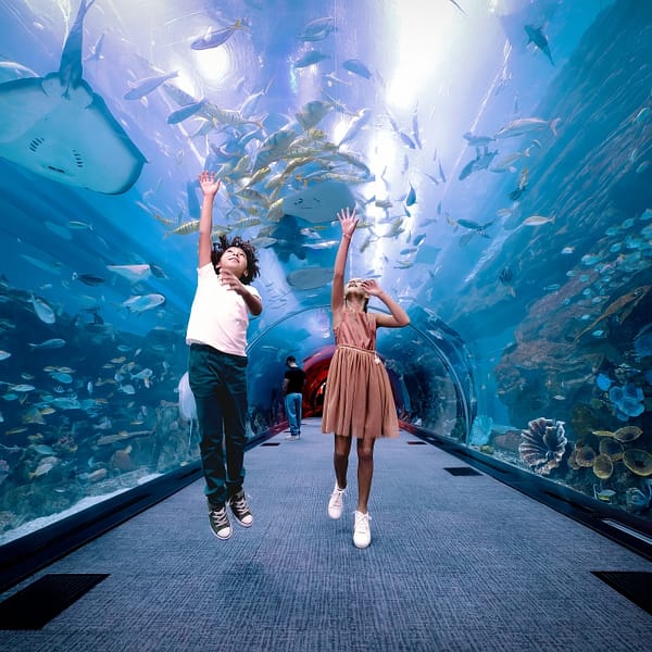 Dubai Aquarium & Underwater Zoo - Regular Pass Experiences