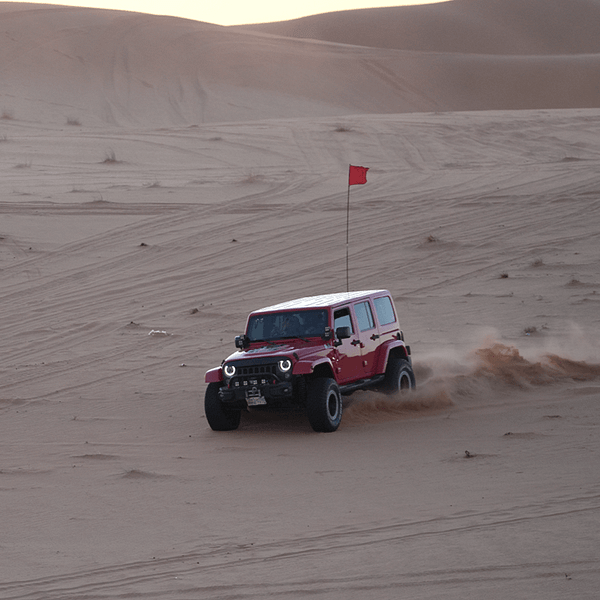 Storm adventure - Safari trip Top-Rated Attractions